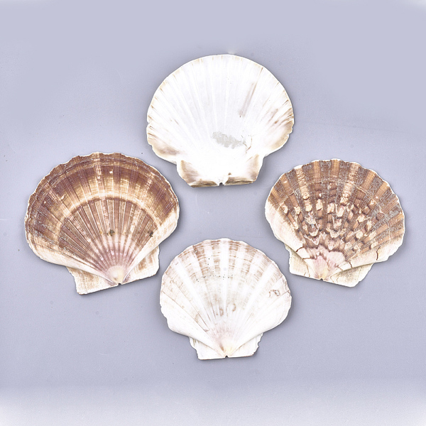 PandaHall Natural Scallop Shell Beads, Sea Shell Beads, Undrilled/No Hole Beads, Camel, 83~97x90~107x5~7mm Scallop Shell Shell Shape Brown
PandaHall Natural Scallop Shell Beads, Sea Shell Beads, Undrilled/No Hole Beads, Camel, 83~97x90~107x5~7mm Scallop Shell Shell Shape Brown