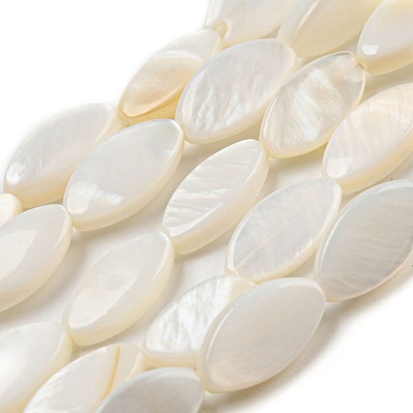 PandaHall Natural Freshwater Shell Beads Strands, Horse Eye, 10~11x5~6x2~3mm, Hole: 1mm, about 34pcs/strand, 14.29''(36.3cm) Freshwater...
PandaHall Natural Freshwater Shell Beads Strands, Horse Eye, 10~11x5~6x2~3mm, Hole: 1mm, about 34pcs/strand, 14.29''(36.3cm) Freshwater...