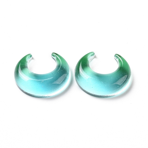 PandaHall Opaque Acrylic Cabohons, Two Tone, Moon, Medium Turquoise, 23x19x7mm Acrylic Moon
PandaHall Opaque Acrylic Cabohons, Two Tone, Moon, Medium Turquoise, 23x19x7mm Acrylic Moon