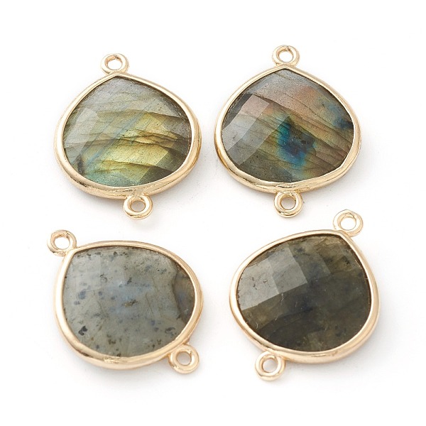 PandaHall Labradorite Links Connectors, with Golden Tone Brass Findings, Faceted Teardrop, 24x18x5.5mm, Hole: 1.6mm Labradorite Teardrop
PandaHall Labradorite Links Connectors, with Golden Tone Brass Findings, Faceted Teardrop, 24x18x5.5mm, Hole: 1.6mm Labradorite Teardrop