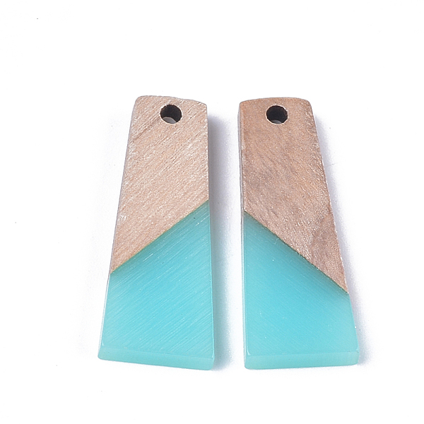 PandaHall Resin & Wood Pendants, Trapezoid, Turquoise, 30x12x3mm, Hole: 2mm Resin+Wood Trapezoid Green
PandaHall Resin & Wood Pendants, Trapezoid, Turquoise, 30x12x3mm, Hole: 2mm Resin+Wood Trapezoid Green