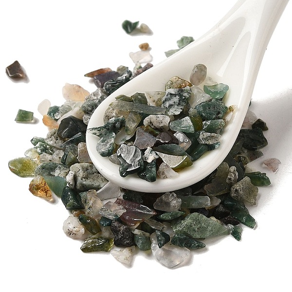 PandaHall Natural Moss Agate Beads, No Hole Beads, Chip Beads, 2.5~9x2~4mm Moss Agate Chip
PandaHall Natural Moss Agate Beads, No Hole Beads, Chip Beads, 2.5~9x2~4mm Moss Agate Chip