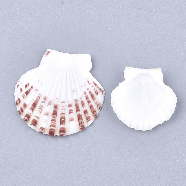PandaHall Natural Scallop Shell Beads, Sea Shell Beads, Undrilled/No Hole Beads, Seashell Color, 36~51x37~54x3~7mm Scallop Shell Shell Shape
PandaHall Natural Scallop Shell Beads, Sea Shell Beads, Undrilled/No Hole Beads, Seashell Color, 36~51x37~54x3~7mm Scallop Shell Shell Shape