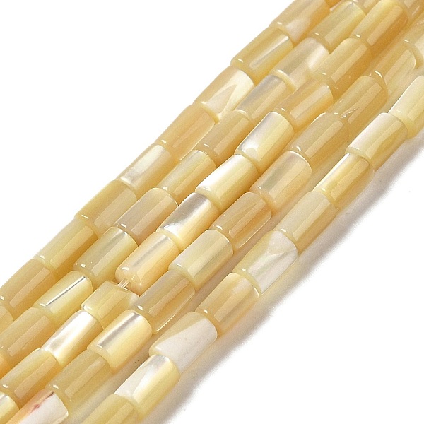 PandaHall Natural Trochus Shell Beads Strands, Column, 4.5~5x3mm, Hole: 0.8mm, about 81pcs/strand, 15.47''(39.3cm) Trochus Shell Column
PandaHall Natural Trochus Shell Beads Strands, Column, 4.5~5x3mm, Hole: 0.8mm, about 81pcs/strand, 15.47''(39.3cm) Trochus Shell Column