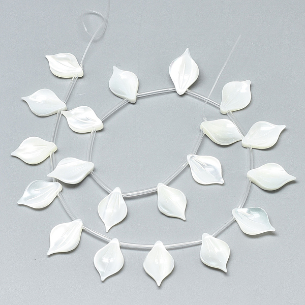 PandaHall Natural White Shell Mother of Pearl Shell Pendants, Leaf, Creamy White, 16x10x3mm, Hole: 0.7mm White Shell Leaf
PandaHall Natural White Shell Mother of Pearl Shell Pendants, Leaf, Creamy White, 16x10x3mm, Hole: 0.7mm White Shell Leaf