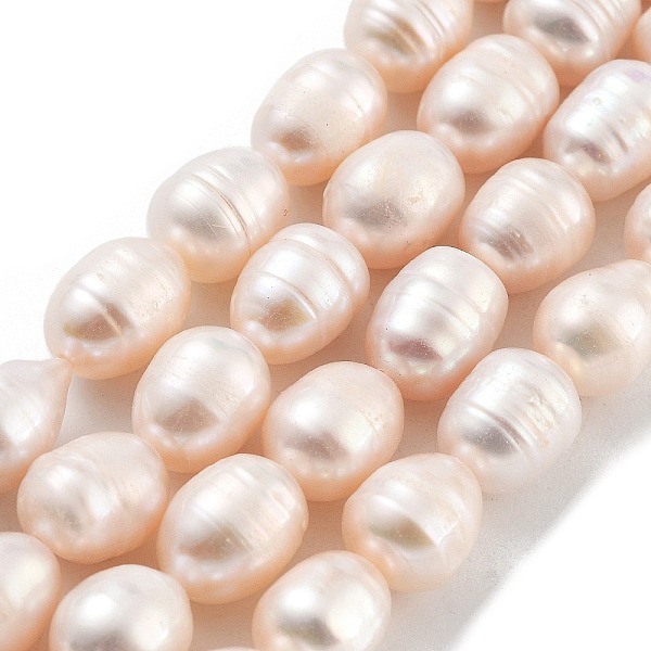 PandaHall Natural Cultured Freshwater Pearl Beads Strands, Grade AB+, Rice, PeachPuff, 7~8mm, Hole: 0.6mm, about 19pcs/strand, 6.69''(17cm)..., Brown
PandaHall Natural Cultured Freshwater Pearl Beads Strands, Grade AB+, Rice, PeachPuff, 7~8mm, Hole: 0.6mm, about 19pcs/strand, 6.69''(17cm)..., Brown