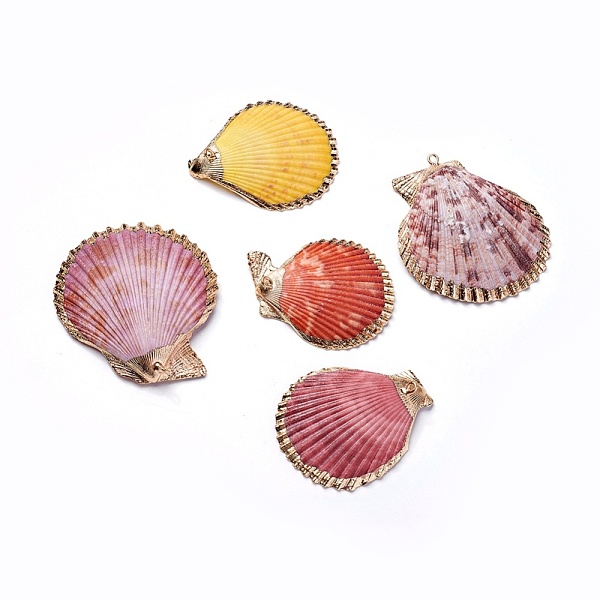 PandaHall Shell Pendants, with Iron Findinggs, Shell, Light Gold, 45~59x41~52x6~8mm, Hole: 1.6~1.8mm Shell Shell Shape
PandaHall Shell Pendants, with Iron Findinggs, Shell, Light Gold, 45~59x41~52x6~8mm, Hole: 1.6~1.8mm Shell Shell Shape