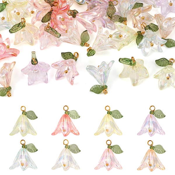 PandaHall 32PCS 8 Colors Transparent Acrylic Pendants, with Shell Pearl Beads and Brass Findings, Lily Flower Charms, Mixed Color..., Multicolor
PandaHall 32PCS 8 Colors Transparent Acrylic Pendants, with Shell Pearl Beads and Brass Findings, Lily Flower Charms, Mixed Color..., Multicolor