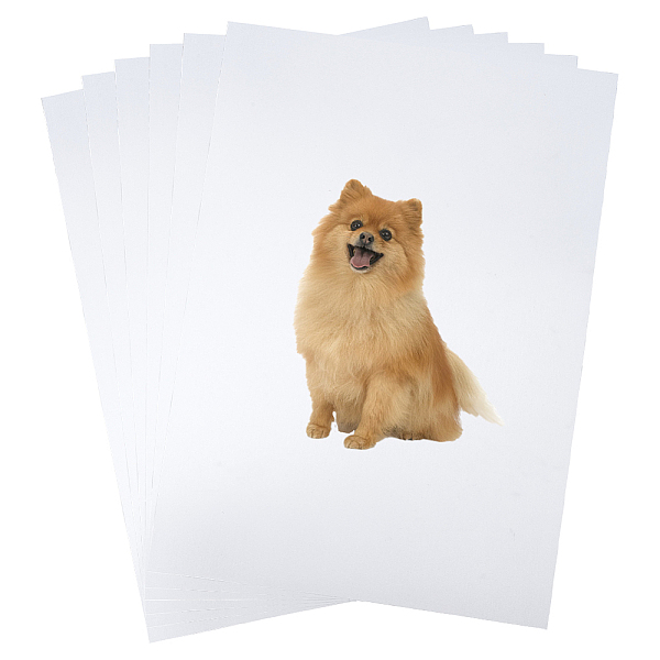 PandaHall A3 PET Printable Heat Transfer Papers, Blank Iron on Vinyl for Printers, Ghost White, 422x301mm Plastic
PandaHall A3 PET Printable Heat Transfer Papers, Blank Iron on Vinyl for Printers, Ghost White, 422x301mm Plastic