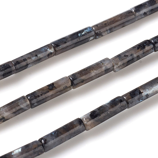 PandaHall Natural Larvikite Beads Strands, Column, 13~14x4mm, Hole: 1mm, about 30pcs/strand, 15.9 inch(40.5cm) Larvikite Column
PandaHall Natural Larvikite Beads Strands, Column, 13~14x4mm, Hole: 1mm, about 30pcs/strand, 15.9 inch(40.5cm) Larvikite Column
