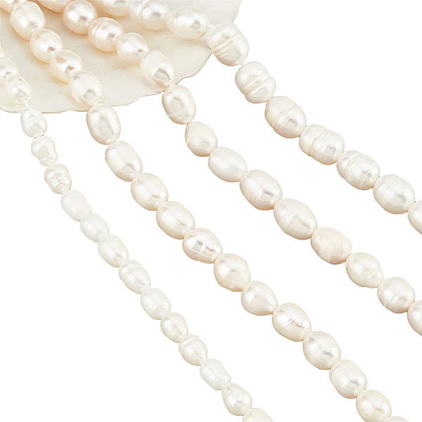 PandaHall About 75 Pcs Natural Cultured Freshwater Pearl Beads, 4 Sizes Rice Shape White Freshwater Pearl Loose Pearl Charms Beads for...
PandaHall About 75 Pcs Natural Cultured Freshwater Pearl Beads, 4 Sizes Rice Shape White Freshwater Pearl Loose Pearl Charms Beads for...