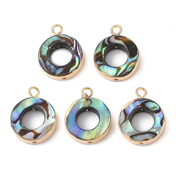 PandaHall Natural Paua Shell Pendants, Ring Charms with Brass Edge, Golden, 16.5x13x3.5mm, Hole: 1.8mm Paua Shell Ring
PandaHall Natural Paua Shell Pendants, Ring Charms with Brass Edge, Golden, 16.5x13x3.5mm, Hole: 1.8mm Paua Shell Ring