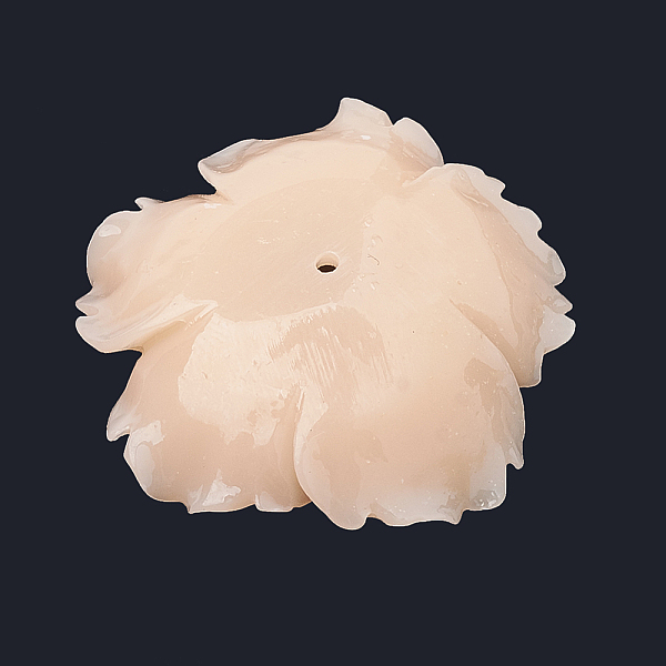 PandaHall Dyed Synthetic Coral Bead Caps, Flower, PeachPuff, 29~31.5x30~32x7~8.5mm, Hole: 1mm Synthetic Coral Flower Brown
PandaHall Dyed Synthetic Coral Bead Caps, Flower, PeachPuff, 29~31.5x30~32x7~8.5mm, Hole: 1mm Synthetic Coral Flower Brown