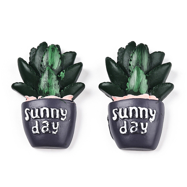 PandaHall Opaque Resin Decoden Cabochons, Sunny Day Potted Cactus, Dark Green, 34x23x9mm Resin Cactus
PandaHall Opaque Resin Decoden Cabochons, Sunny Day Potted Cactus, Dark Green, 34x23x9mm Resin Cactus