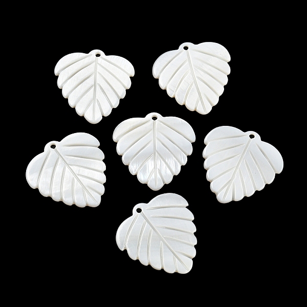 PandaHall Natural Freshwater Shell Pendants, Leaf Charms, Seashell Color, 27x27x1.5~2mm, Hole: 1.6mm Freshwater Shell Leaf
PandaHall Natural Freshwater Shell Pendants, Leaf Charms, Seashell Color, 27x27x1.5~2mm, Hole: 1.6mm Freshwater Shell Leaf
