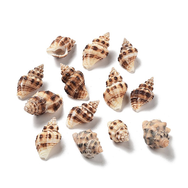 PandaHall 203Pcs Spiral Shell Pendants, Shell Shape Charms, 22~30x14~16.5x10~15mm, Hole: 1.2mm Spiral Shell Shell Shape
PandaHall 203Pcs Spiral Shell Pendants, Shell Shape Charms, 22~30x14~16.5x10~15mm, Hole: 1.2mm Spiral Shell Shell Shape