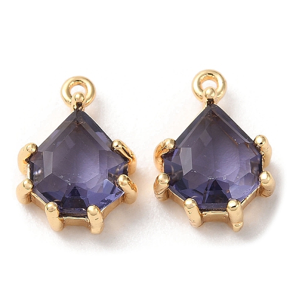 PandaHall Real 18K Gold Plated Brass Micro Pave Cubic Zirconia Charms, Teardrop, Indigo, 11x8x3.5mm, Hole: 0.9mm Brass+Cubic Zirconia..., Purple
PandaHall Real 18K Gold Plated Brass Micro Pave Cubic Zirconia Charms, Teardrop, Indigo, 11x8x3.5mm, Hole: 0.9mm Brass+Cubic Zirconia..., Purple