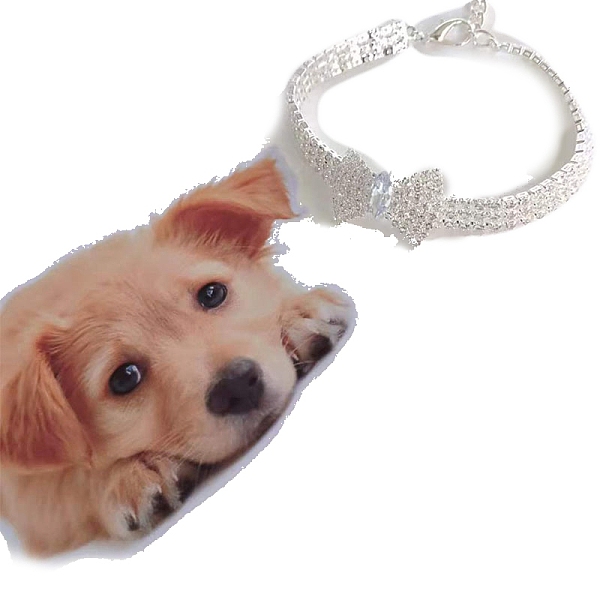PandaHall Adjustable 3-Row Brass Micro Pave Cubic Zirconia Cup Chain Pet Collars, Slider Bowknot Cat Dog Choker Necklace, Platinum, 245mm...
PandaHall Adjustable 3-Row Brass Micro Pave Cubic Zirconia Cup Chain Pet Collars, Slider Bowknot Cat Dog Choker Necklace, Platinum, 245mm...