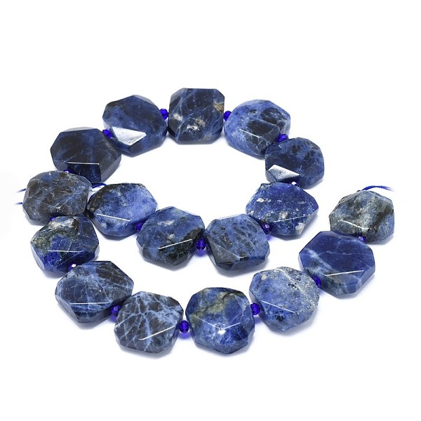 PandaHall Natural Sodalite Beads Strands, Faceted, Rectangle, 21~25x19.5~21x8.5~9mm, Hole: 1.8mm, about 17pcs/strand, 15.5 inch(39.4cm)...
PandaHall Natural Sodalite Beads Strands, Faceted, Rectangle, 21~25x19.5~21x8.5~9mm, Hole: 1.8mm, about 17pcs/strand, 15.5 inch(39.4cm)...