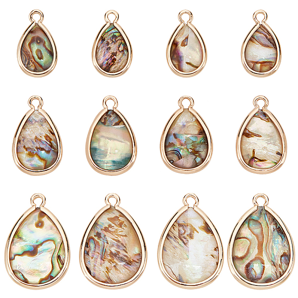 PandaHall BENECREAT 12Pcs 3 Styles Natural Paua Shell Pendants, Alloy Teardrop Charms with Resin, Light Gold, 15.5~21.5x9~14.5x3~3.5mm, Hole...
PandaHall BENECREAT 12Pcs 3 Styles Natural Paua Shell Pendants, Alloy Teardrop Charms with Resin, Light Gold, 15.5~21.5x9~14.5x3~3.5mm, Hole...