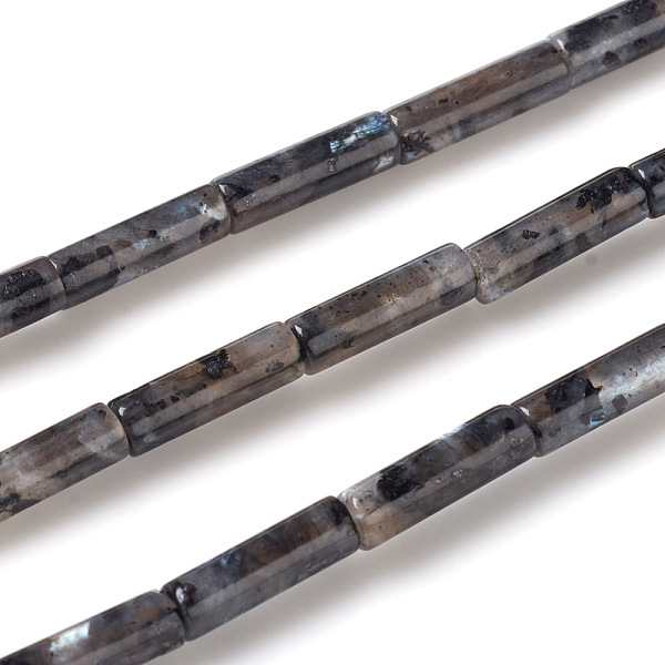 PandaHall Natural Larvikite Beads Strands, Column, 13~14x4mm, Hole: 1mm, about 30pcs/strand, 15.9 inch(40.5cm) Larvikite Column
PandaHall Natural Larvikite Beads Strands, Column, 13~14x4mm, Hole: 1mm, about 30pcs/strand, 15.9 inch(40.5cm) Larvikite Column