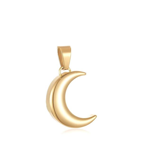 PandaHall Openable Alloy Memorial Urn Ashes Pendants, Moon, Golden, 23x16mm Stainless Steel Moon
PandaHall Openable Alloy Memorial Urn Ashes Pendants, Moon, Golden, 23x16mm Stainless Steel Moon