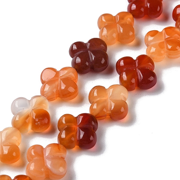 PandaHall Natural Red Agate Beads Strands, Flower, 13~14x13~14x5~5.5mm, Hole: 1.2mm, about 15pcs/strand, 7.95''(20.2cm) Red Agate Flower
PandaHall Natural Red Agate Beads Strands, Flower, 13~14x13~14x5~5.5mm, Hole: 1.2mm, about 15pcs/strand, 7.95''(20.2cm) Red Agate Flower