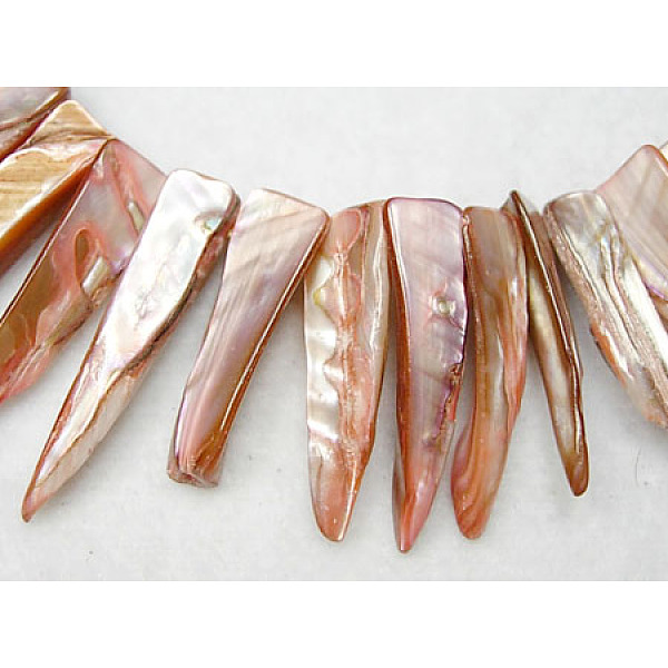 PandaHall Natural Shell Beads Strands, Dyed, Erose, Pink, about 7~9mm wide, 25~35mm long, hole: about 0.5mm, 14 inch Freshwater Shell Others...
PandaHall Natural Shell Beads Strands, Dyed, Erose, Pink, about 7~9mm wide, 25~35mm long, hole: about 0.5mm, 14 inch Freshwater Shell Others...