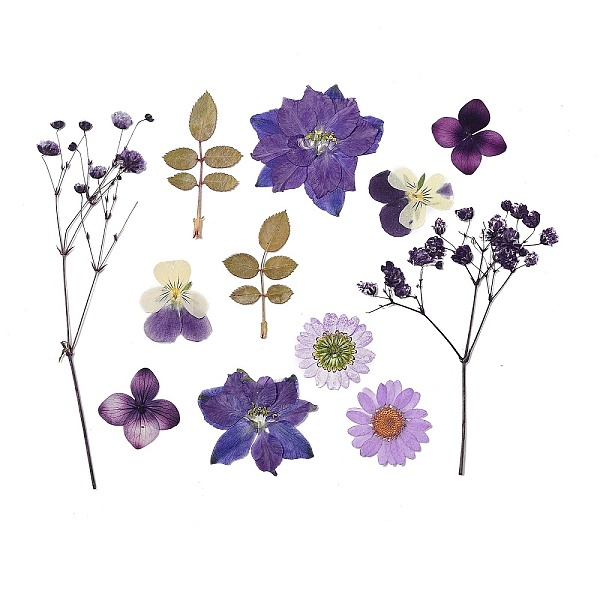 PandaHall 12Pcs Pressed Dried Flowers, for Cellphone, Photo Frame, Scrapbooking DIY and Resin Art Floral Decors, Flower Pattern, Mixed Color..., Multicolor
PandaHall 12Pcs Pressed Dried Flowers, for Cellphone, Photo Frame, Scrapbooking DIY and Resin Art Floral Decors, Flower Pattern, Mixed Color..., Multicolor
