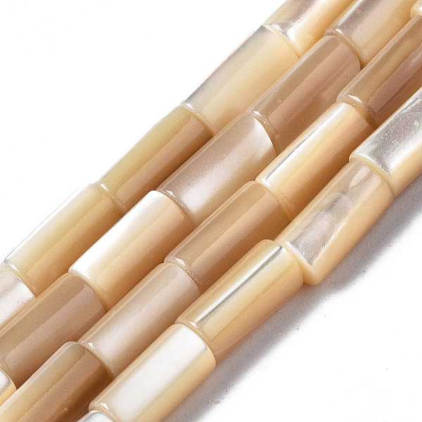 PandaHall Natural Trochid Shell/Trochus Shell Beads Strands, Column, BurlyWood, 8x4mm, Hole: 0.7mm, about 51pcs/strand, 15.94 inch(40.5cm)..., Orange
PandaHall Natural Trochid Shell/Trochus Shell Beads Strands, Column, BurlyWood, 8x4mm, Hole: 0.7mm, about 51pcs/strand, 15.94 inch(40.5cm)..., Orange