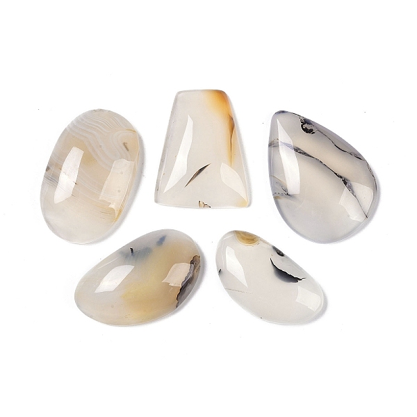 PandaHall Natural Agate Cabochons, 31~45.5x17.5~24x6.5~7.5mm Natural Agate Mixed Shapes
PandaHall Natural Agate Cabochons, 31~45.5x17.5~24x6.5~7.5mm Natural Agate Mixed Shapes