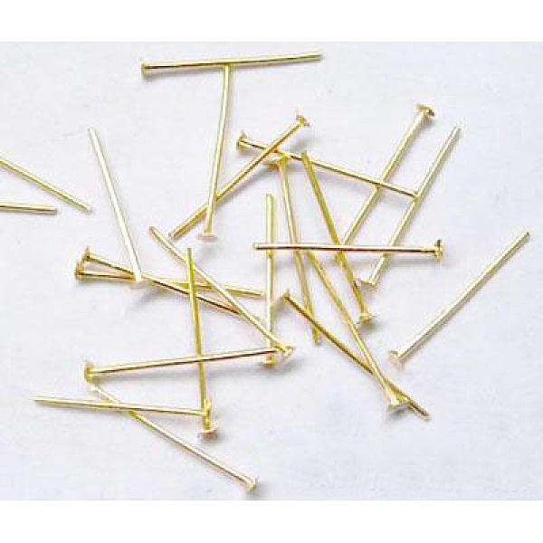 PandaHall Cadmium Free & Nickel Free & Lead Free, Golden Iron Flat Head Pins, Size: about 0.75~0.8mm thick(20 Gauge), 18mm long, Head: 2mm...
PandaHall Cadmium Free & Nickel Free & Lead Free, Golden Iron Flat Head Pins, Size: about 0.75~0.8mm thick(20 Gauge), 18mm long, Head: 2mm...