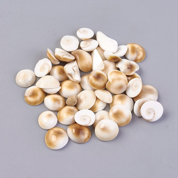 PandaHall Shiva Eye Shell Beads, Undrilled/No Hole Beads, Nuggets, 6~9.6x5.4~8.7x2~3.6mm Shiva Eye Shell Nuggets Gold
PandaHall Shiva Eye Shell Beads, Undrilled/No Hole Beads, Nuggets, 6~9.6x5.4~8.7x2~3.6mm Shiva Eye Shell Nuggets Gold