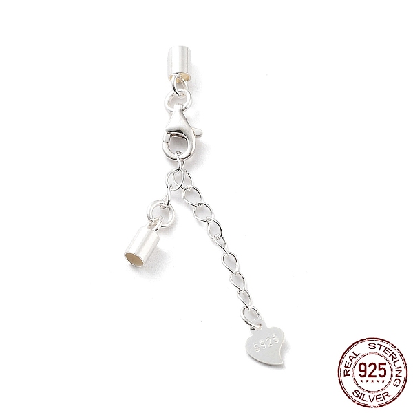 PandaHall 925 Sterling Silver Curb Chain Extender, End Chains with Lobster Claw Clasps and Cord Ends, Heart Chain Tabs, with S925 Stamp...
PandaHall 925 Sterling Silver Curb Chain Extender, End Chains with Lobster Claw Clasps and Cord Ends, Heart Chain Tabs, with S925 Stamp...
