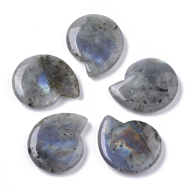 PandaHall Natural Labradorite Beads, No Hole/Undrilled, Spiral Shell Shape, 25x21x5mm Labradorite Shell Shape
PandaHall Natural Labradorite Beads, No Hole/Undrilled, Spiral Shell Shape, 25x21x5mm Labradorite Shell Shape