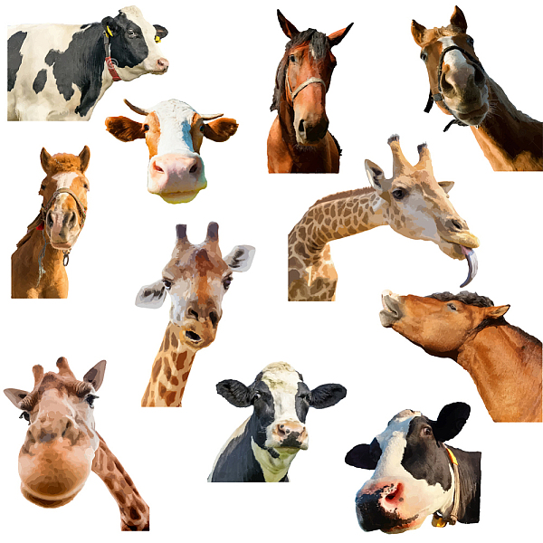 PandaHall PVC Wall Stickers, Wall Decoration, Giraffe Pattern, 900x390mm PVC Giraffe
PandaHall PVC Wall Stickers, Wall Decoration, Giraffe Pattern, 900x390mm PVC Giraffe