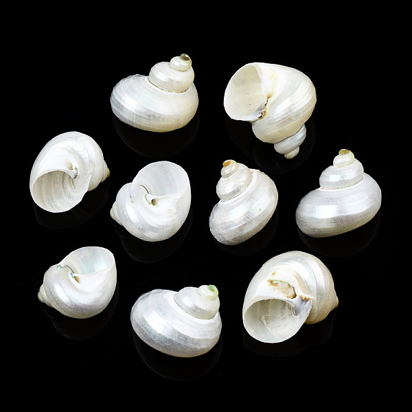 PandaHall Natural Spiral Shell Beads, No Hole, Shell, 21~29x21~29x17~25mm Spiral Shell Shell Shape
PandaHall Natural Spiral Shell Beads, No Hole, Shell, 21~29x21~29x17~25mm Spiral Shell Shell Shape