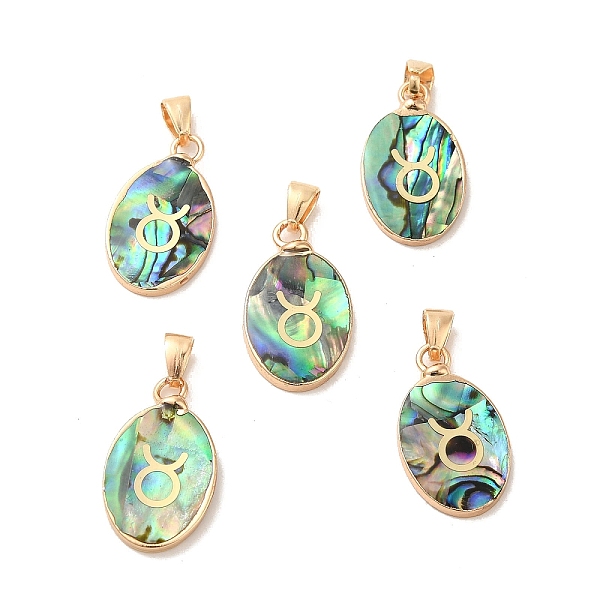 PandaHall Constellation Natural Paua Shell Pendants, Golden Tone Brass Oval Charms, Taurus, 22x13x3~3.5mm, Hole: 6x3mm Paua Shell Taurus
PandaHall Constellation Natural Paua Shell Pendants, Golden Tone Brass Oval Charms, Taurus, 22x13x3~3.5mm, Hole: 6x3mm Paua Shell Taurus