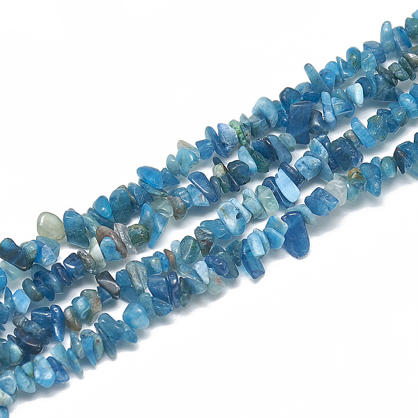 PandaHall Natural Apatite Beads Strands, Chip, 3~11x3~5x1~4mm, Hole: 1mm, about 380~400pcs/strand, 33 inch Apatite Chip
PandaHall Natural Apatite Beads Strands, Chip, 3~11x3~5x1~4mm, Hole: 1mm, about 380~400pcs/strand, 33 inch Apatite Chip