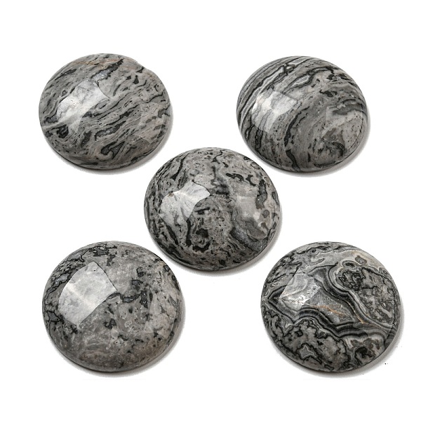 PandaHall Natural Map Stone Cabochons, Flat Round, 30x7~8.5mm Map Stone Flat Round
PandaHall Natural Map Stone Cabochons, Flat Round, 30x7~8.5mm Map Stone Flat Round