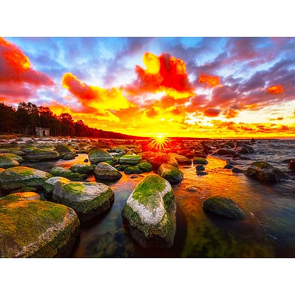 PandaHall Oceanside Sunset Scenery DIY Diamond Painting Kit, Including Resin Rhinestones Bag, Diamond Sticky Pen, Tray Plate and Glue Clay...
PandaHall Oceanside Sunset Scenery DIY Diamond Painting Kit, Including Resin Rhinestones Bag, Diamond Sticky Pen, Tray Plate and Glue Clay...