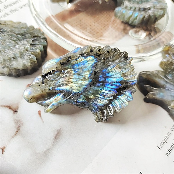 PandaHall Natural Labradorite Carved Figurines Statues for Home Office Desktop Decoration, Eagle, 40mm Labradorite Eagle
PandaHall Natural Labradorite Carved Figurines Statues for Home Office Desktop Decoration, Eagle, 40mm Labradorite Eagle