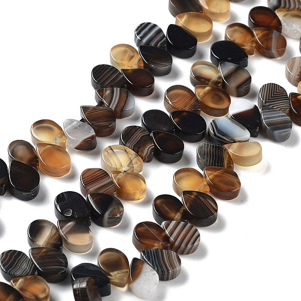 PandaHall Natural Agate Beads Strands, Dyed & Heated, Top Drilled, Teardrop, Coconut Brown, 8x5x3mm, Hole: 0.8~1mm, about 52~55pcs/strand...
PandaHall Natural Agate Beads Strands, Dyed & Heated, Top Drilled, Teardrop, Coconut Brown, 8x5x3mm, Hole: 0.8~1mm, about 52~55pcs/strand...