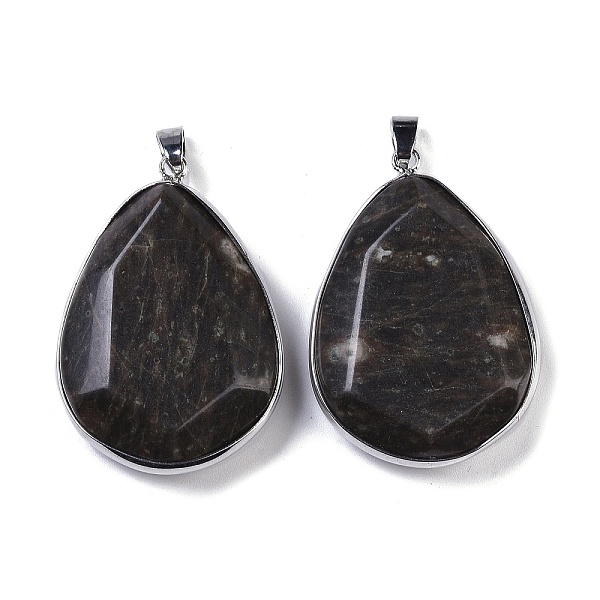 PandaHall Natural Labradorite Pendants, Faceted Teardrop Charms, with Platinum Plated Brass Findings, 46x32x10.5mm, Hole: 7.5x4.5mm...
PandaHall Natural Labradorite Pendants, Faceted Teardrop Charms, with Platinum Plated Brass Findings, 46x32x10.5mm, Hole: 7.5x4.5mm...