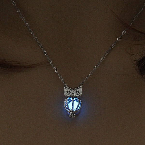 PandaHall Luminous Alloy Pendants, Necklace, Halloween Theme, Owl, 17.72 inch(45cm) Alloy Owl
PandaHall Luminous Alloy Pendants, Necklace, Halloween Theme, Owl, 17.72 inch(45cm) Alloy Owl
