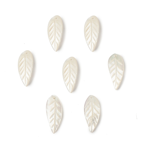 PandaHall Natural Sea Shell Pendants, Leaf Charms, 27x11x1mm, Hole: 1.4mm Shell Leaf
PandaHall Natural Sea Shell Pendants, Leaf Charms, 27x11x1mm, Hole: 1.4mm Shell Leaf