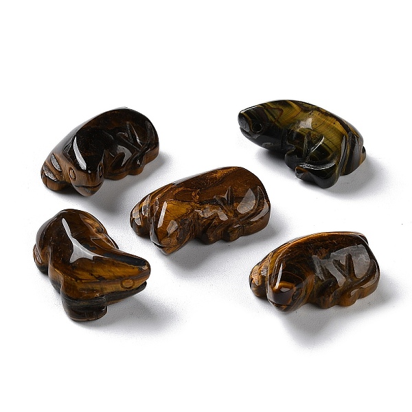 PandaHall Natural Tiger Eye Carved Healing Figurines, Reiki Energy Stone Display Decorations, Lizard, 25.5~26x17.5~18.5x12mm Tiger Eye...
PandaHall Natural Tiger Eye Carved Healing Figurines, Reiki Energy Stone Display Decorations, Lizard, 25.5~26x17.5~18.5x12mm Tiger Eye...