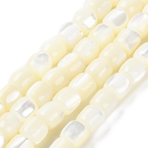 PandaHall Natural Trochus Shell Beads Strands, Barrel, Floral White, 5.5x5.5mm, Hole: 1mm, about 69pcs/strand, 15.55''(39.5cm) Trochus Shell...
PandaHall Natural Trochus Shell Beads Strands, Barrel, Floral White, 5.5x5.5mm, Hole: 1mm, about 69pcs/strand, 15.55''(39.5cm) Trochus Shell...