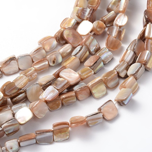 PandaHall Erose Natural Shell Beads Strands, for DIY Craft Jewelry Making, Dyed, White, about 8~17.5mm long, 5~8mm wide, hole: about 1mm...
PandaHall Erose Natural Shell Beads Strands, for DIY Craft Jewelry Making, Dyed, White, about 8~17.5mm long, 5~8mm wide, hole: about 1mm...