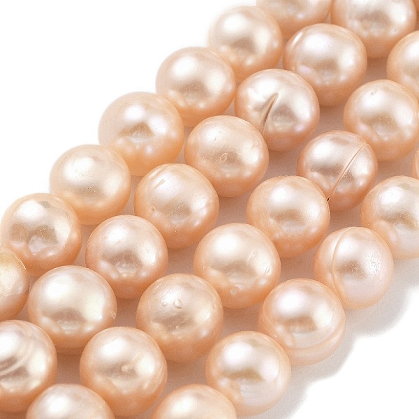 PandaHall Natural Cultured Freshwater Pearl Beads Strands, Potato, Coral, 10~11mm, Hole: 0.6mm, about 18~19pcs/strand, 6.89~7.09 inch..., Red
PandaHall Natural Cultured Freshwater Pearl Beads Strands, Potato, Coral, 10~11mm, Hole: 0.6mm, about 18~19pcs/strand, 6.89~7.09 inch..., Red